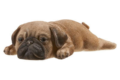 Image of Vivid Mops Welpe, schlafend bei JUMBO