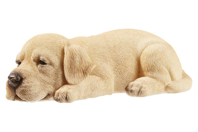 Image of Vivid Labrador Welpe, schlafend