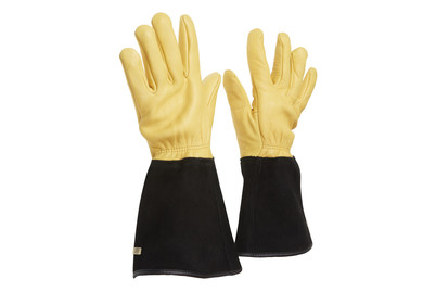 Image of Gartenhandschuhe Tough Touch Herren gefüttert bei JUMBO