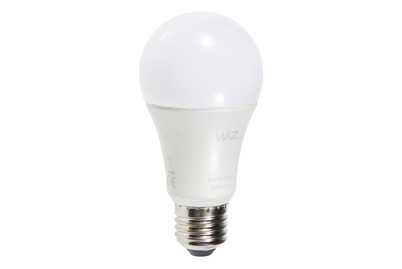 Image of LED Glühbirne WIZ G2 Warmweiss A60 E27 2P