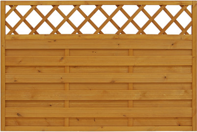 Image of Paris pinia tief. 120x180 bei JUMBO