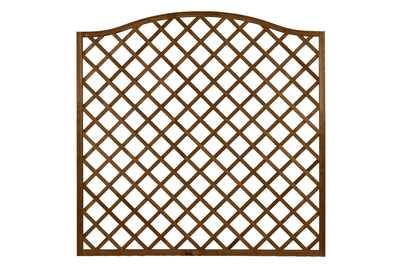 Image of Nancy brown grund. 180x180cm bei JUMBO