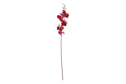 Image of Dekozweig Orchidee Indoor H102cm 3s bei JUMBO