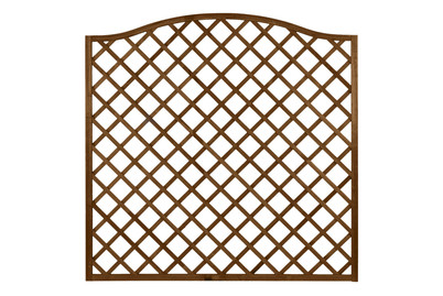 Image of Nancy brown grund R.164/180x180cm bei JUMBO