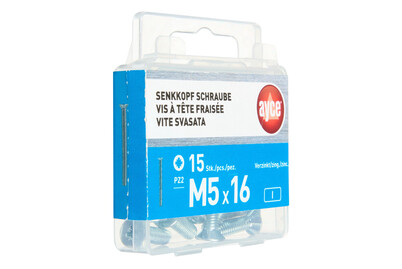 Image of ayce Senkkopf Schraube M5 bei JUMBO