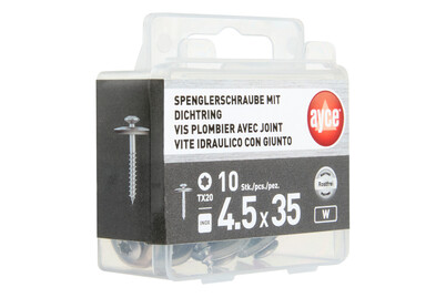 Image of Spenglerschraube TX inox bei JUMBO