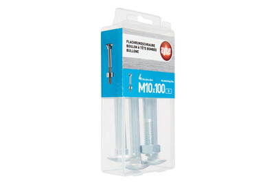Image of ayce Flachrundschraube M10 bei JUMBO