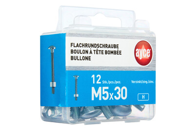 Image of ayce Flachrundschraube M5 bei JUMBO