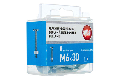 Image of ayce Flachrundschraube M6 bei JUMBO