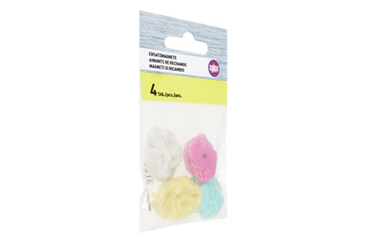 Image of ayce Magnete bei JUMBO