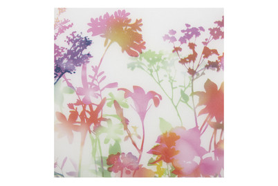 Image of Fensterfolie static Premium Miraflores bei JUMBO