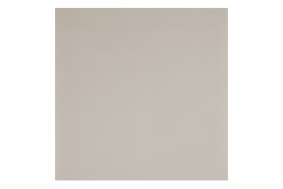 Image of Selbstklebefolie Uni Lack taupe bei JUMBO