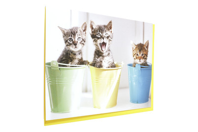 Image of Glückwunschkarte ohne Text bei JUMBO