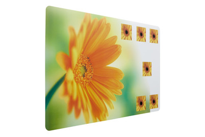 Image of Tischset Gerbera bei JUMBO