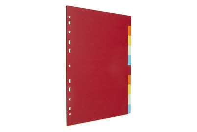 Image of Karton-Register A4 bei JUMBO