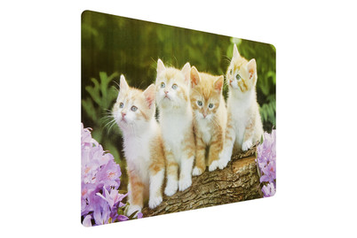 Image of Tischset 4 Katzen