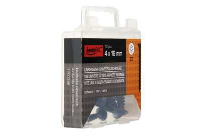 Image of Linsensenkkopf Universal Schraube bei JUMBO