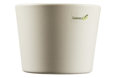 Image of Übertopf Vivace bei JUMBO