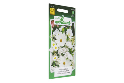 Image of Farbgarten in Weiss bei JUMBO