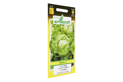 Image of Kopfsalat Kopsa bei JUMBO