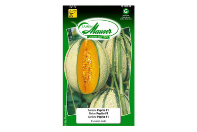 Image of Melone Pepito bei JUMBO