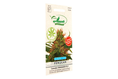 Image of Cannabis Fenoqueen bei JUMBO