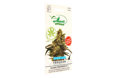 Image of Cannabis Fenocheese bei JUMBO