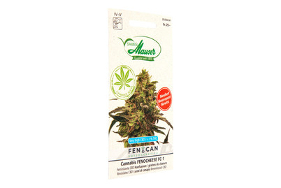 Image of Cannabis Fenocheese