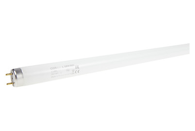 Image of Osram Leuchtstoffröhre Skywhite 4900Lm bei JUMBO
