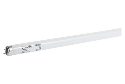 Image of Osram Leuchtstoffröhre Skywhite T8 3010Lm bei JUMBO