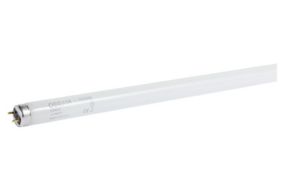 Image of Osram Leuchtstoffröhre Skywhite T8 950Lm bei JUMBO