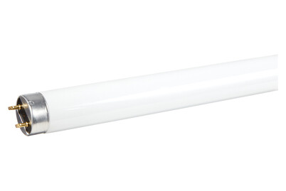 Image of Osram Leuchtstoffröhre Active T8 840 G13 bei JUMBO