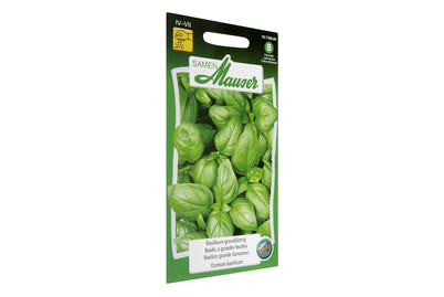 Image of Samen Mauser Basilikum Grossblättrig bei JUMBO