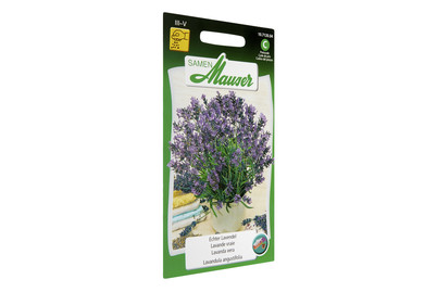 Image of Samen Mauser Lavendel Echter bei JUMBO