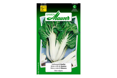 Image of Stielmangold Genfer bei JUMBO