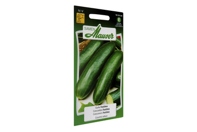 Image of Gurke Festima bei JUMBO