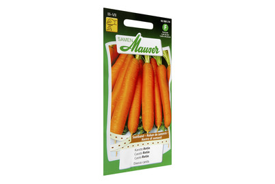 Image of Samen Mauser Karotte Rotin Saatband bei JUMBO