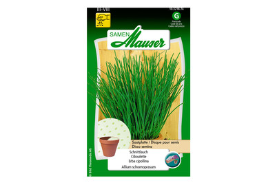 Image of Samen Mauser Schnittlauch Saatplatte bei JUMBO