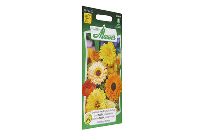 Image of Ringelblume-Mischung Pacific bei JUMBO