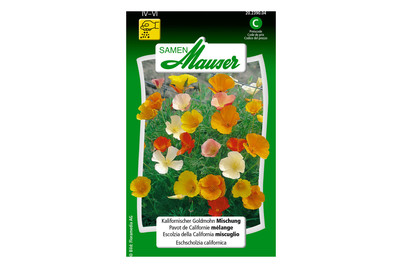 Image of Kalifornische Goldmohn-Mischung bei JUMBO