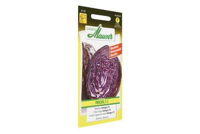 Image of Rotkabis Integro bei JUMBO