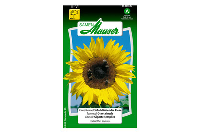 Image of Sonnenblume einfachblühender Riese bei JUMBO