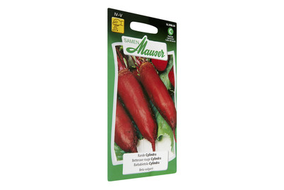 Image of Rande Cylindra bei JUMBO