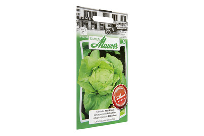 Image of Kopfsalat Attraktion bei JUMBO