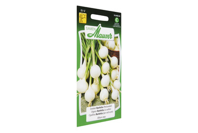 Image of Zwiebeln Barletta bei JUMBO