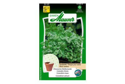 Image of Samen Mauser Saatplatte Koriander bei JUMBO