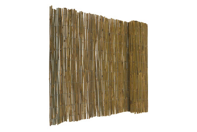 Image of Bambus Sichtschutzmatte bei JUMBO