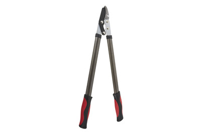 Image of Astschere Amboss 615 bei JUMBO