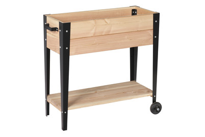 Image of Hochbeet fahrbar FSC 80X33X80Cm bei JUMBO