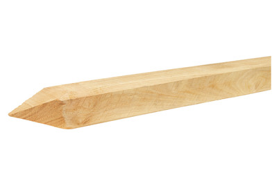 Image of Holzpfahl 4-kantig 150 cm bei JUMBO